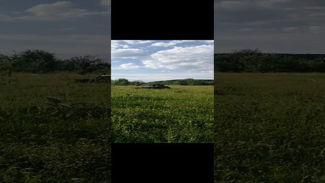 Багги, как конечный результат моего недавнего проекта.