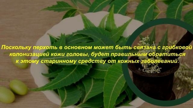 Как избавиться от перхоти в домашних условиях быстро и эффективно !!!