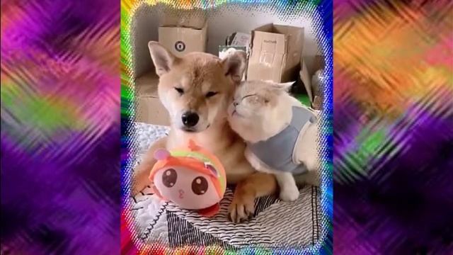 Ооо!Это любофь!