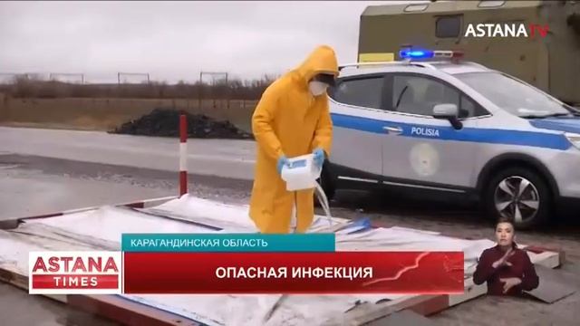 Трое карагандинцев заразились сибирской язвой