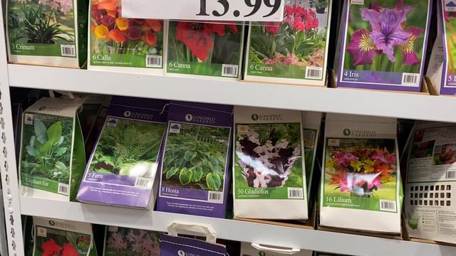 Costco Plant Tour of Spring Bulbs, Roses and Other perennials for the 2023 season