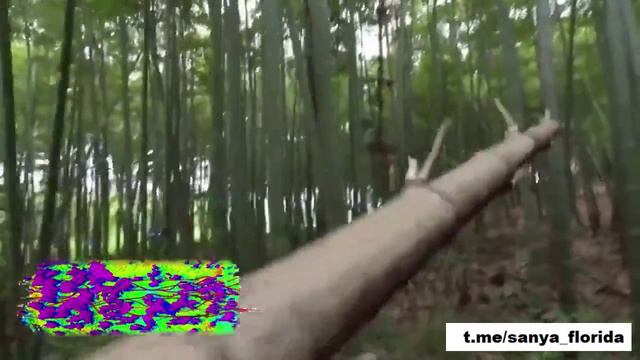 Группа китайских дронов камикадзе прочесывают густой бамбуковый лес.