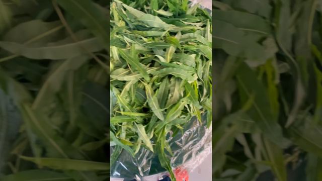 Как мы проводим лето...