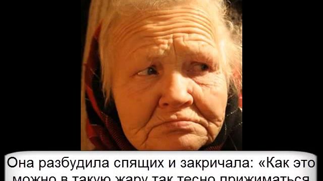 Сад на крыше