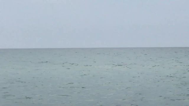 Друзья уехали, богомолы остались). Дельфин на косе, вот так встреча. Тихий вечерок, скучаем по наши