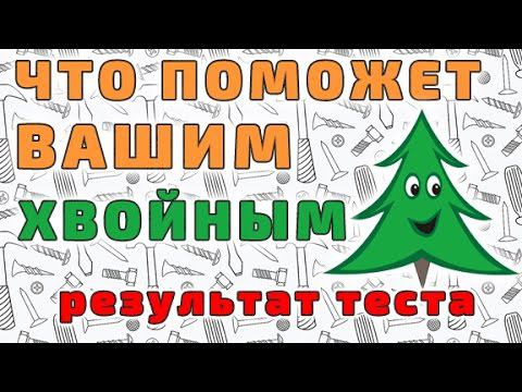 Удобрение для хвойных, которое помогает!