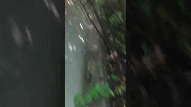 Заброшенная дача часть 3