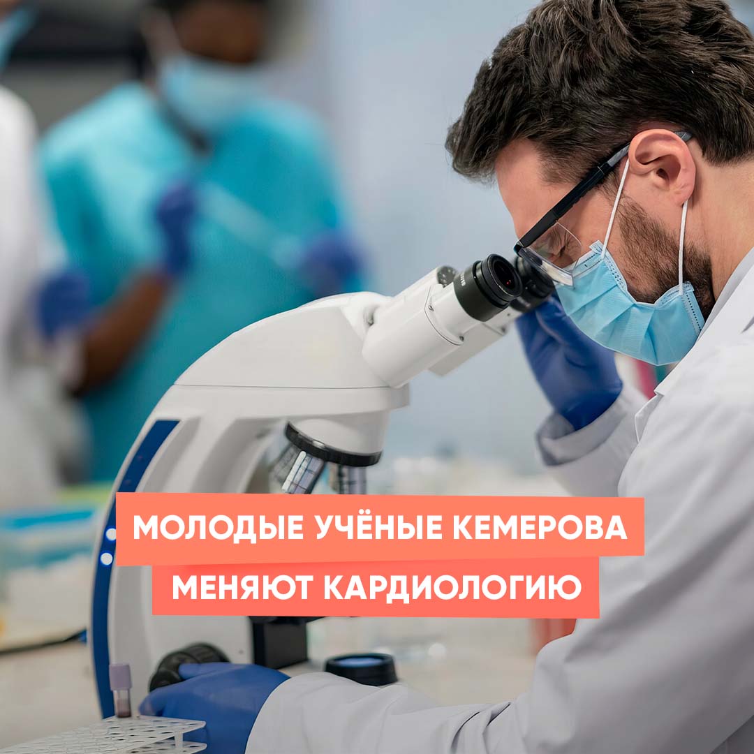 Молодые учёные Кемерова меняют кардиологию