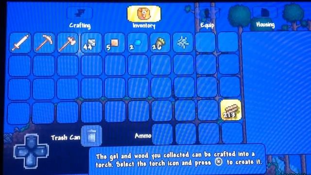 Terraria - PS Vita