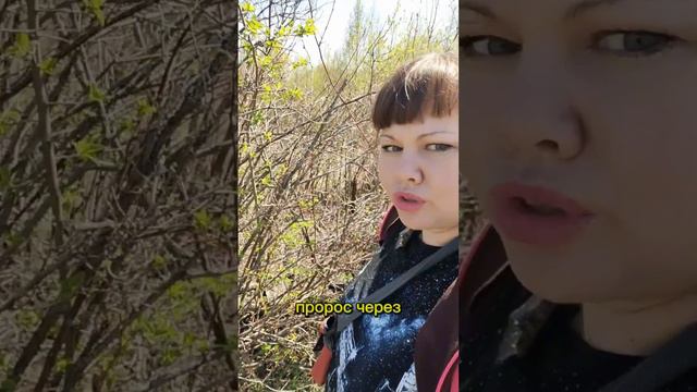 2. Купила ЗАБРОШЕННЫЙ дом и делаю в нем швейную МАСТЕРСКУЮ