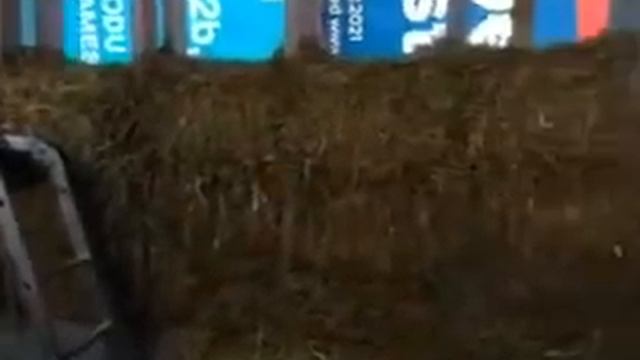 Под русские гусли... Как мы строили наш удивительный восьмигранный дом