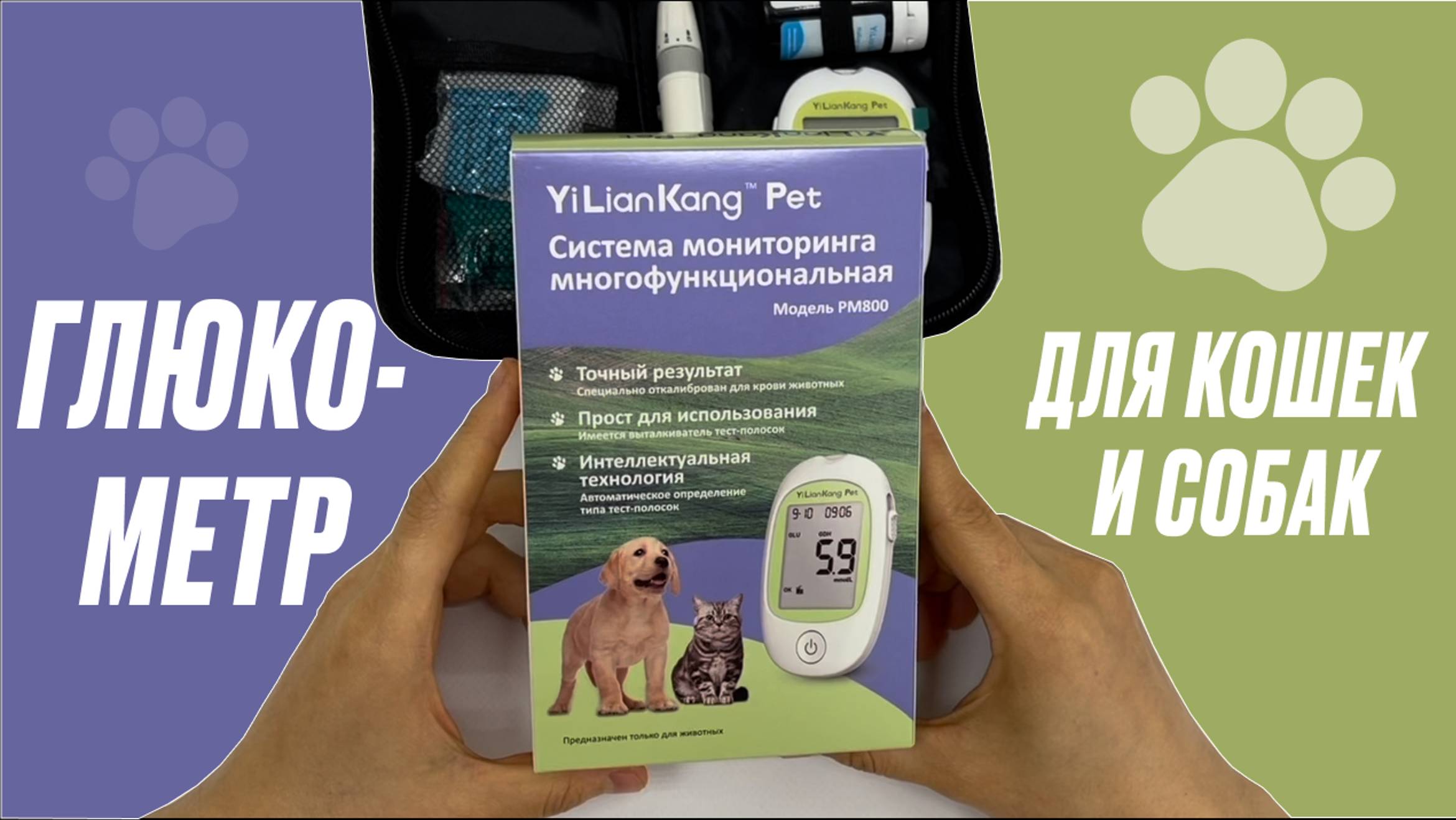 Глюкометр для кошек и собак YiLianKang Pet(полный обзор на русском языке)