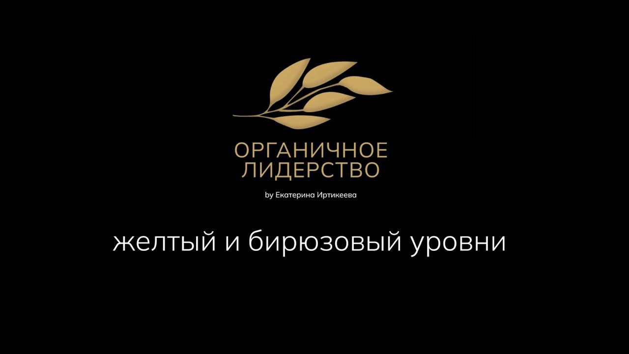 Теория спиральной динамики. Часть 5 (желтый и бирюзовый уровни)