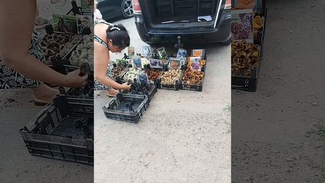 1000180688.mp4