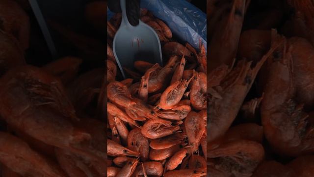 Магаданские креветки 🦐