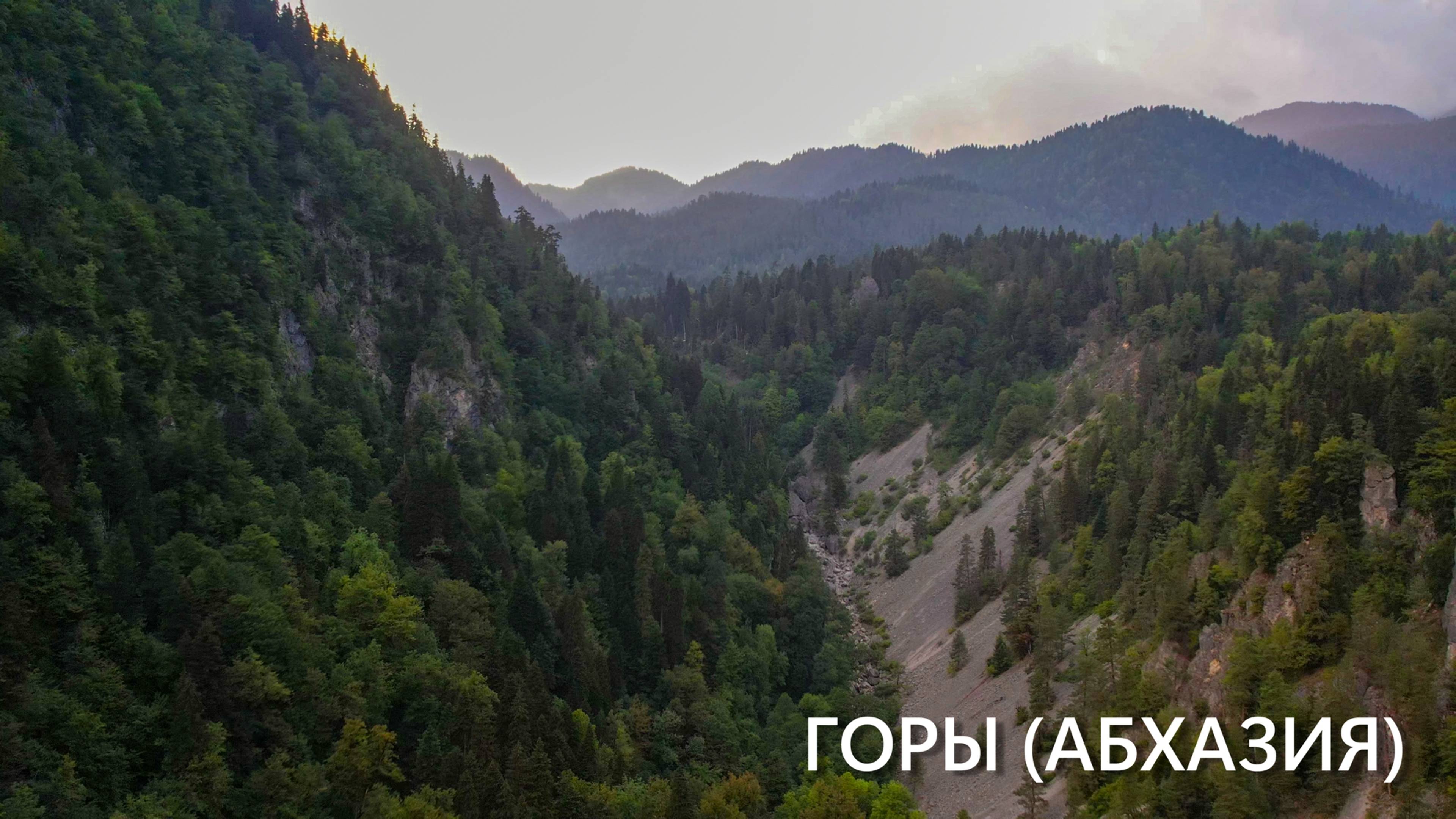 Горы (Абхазия, Рицинский заповедник)