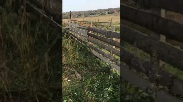 Видео 2 Строим сарай навес часть 1