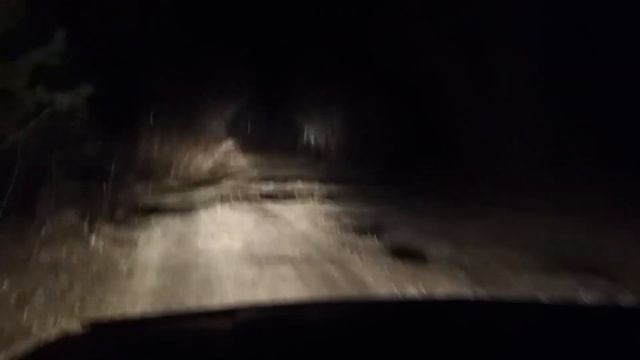 осенняя рыбалка 23 года