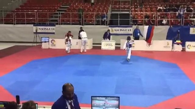 Бекулова Милана.Финал первенства Европы по тхэквондо.2018г.Золото .