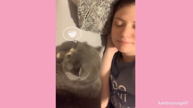 Cute Cats And Owner Sleeping - The BEST Feeling In The World!!