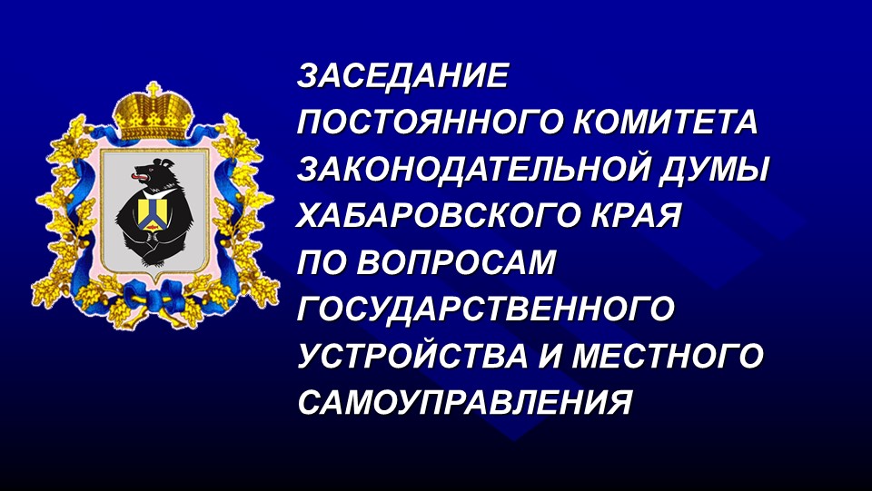 Заседание постоянного комитета Думы по вопросам государственного устройства и МСУ 27.05.2024
