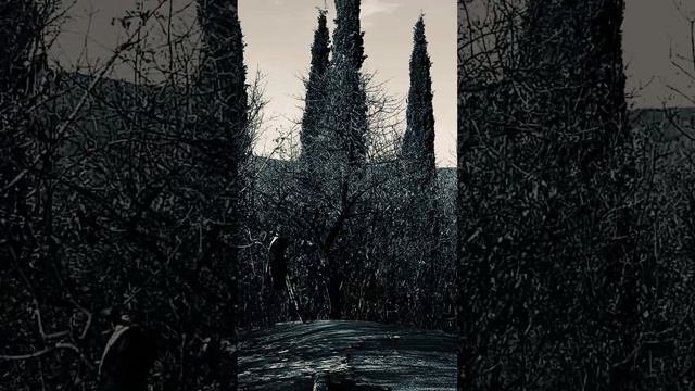 Близнак на вятъра / Twin Of The Wind
