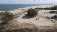 Вид сверху на песочные приморские дюны со смотровой площадки на Курской косе кёницберкской области