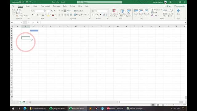 TMS FlexCel Para VCL