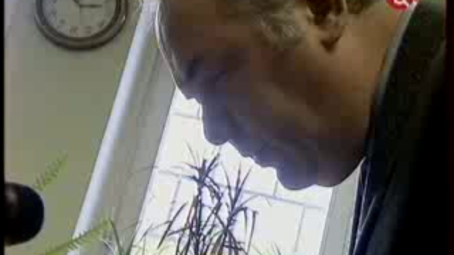 эфир 17 09 2011