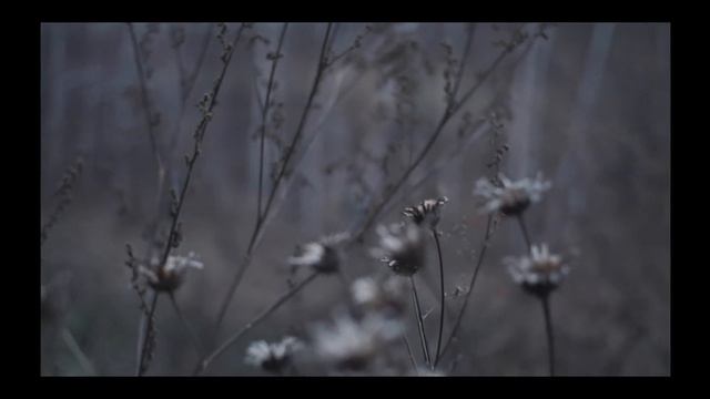 Sony a6300 в 2021г - Лучшая камера?