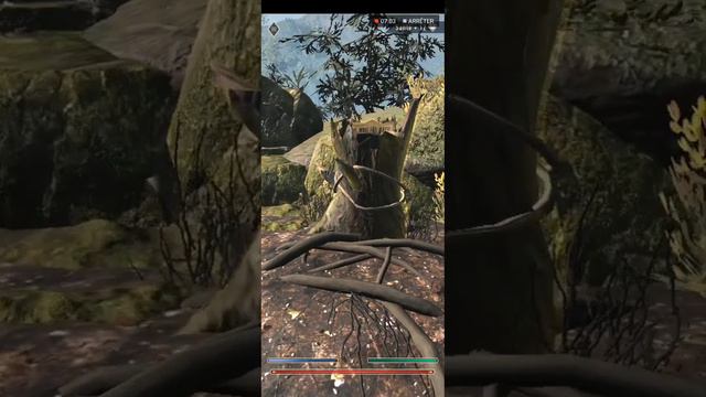 The Elder Scrolls : Blades - Honor 10 Lite