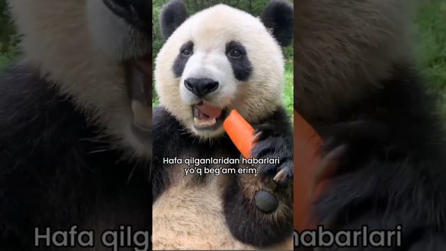 1000077914.mp4