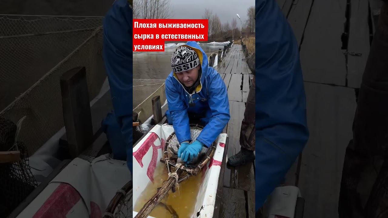 #Geography_trophy #геотрофи  #siberia #рго #сибирь #вездеходы #парабель #рыбалка