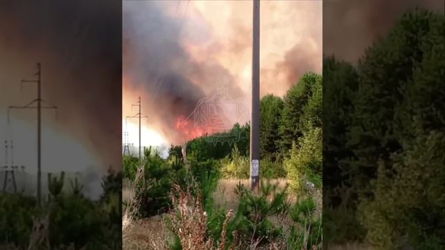 В микрорайоне Семилукские Выселки горит лес. 🔥