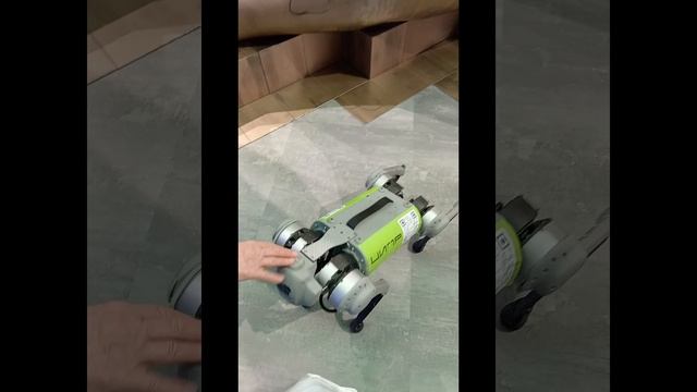 зимние каникулы