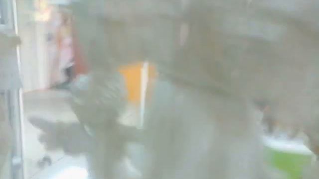 магазин приколов