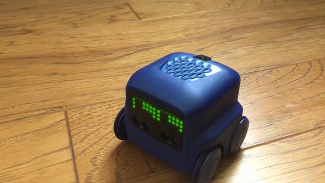 Boxer robot! (He is very active!)