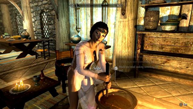 Skyrim - My Character & PC Mods