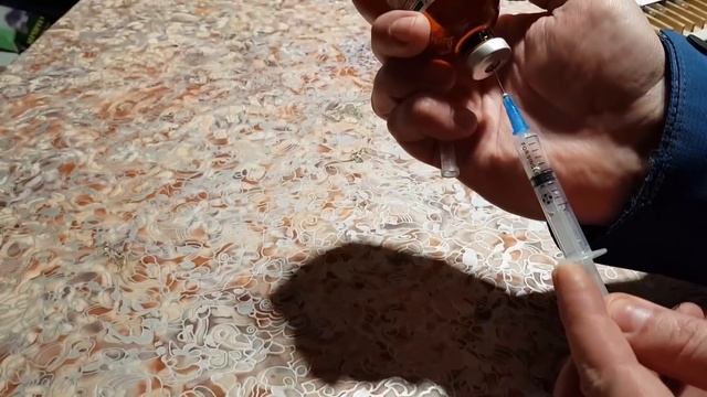 Как защитить щенка от клещей(пироплазмоза)-самый работающий способ