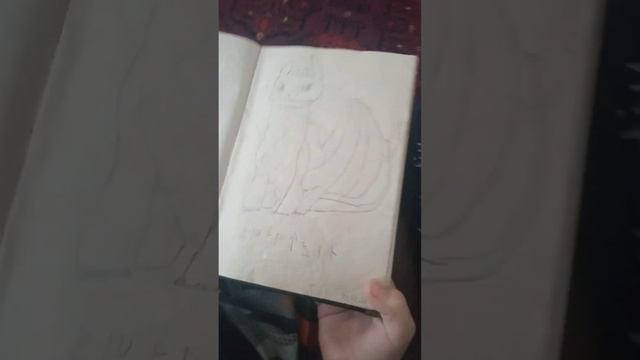 Книга моего брата, о драконов