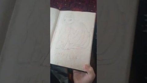 Книга моего брата, о драконов