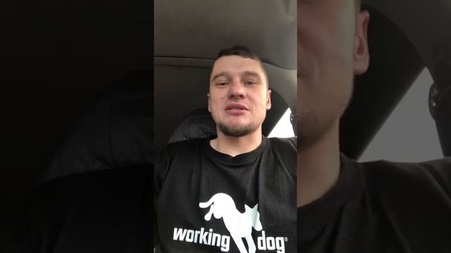 Дрессировка щенка.  Ответы на вопросы подписчиков. Роль похвалы в дрессировке.