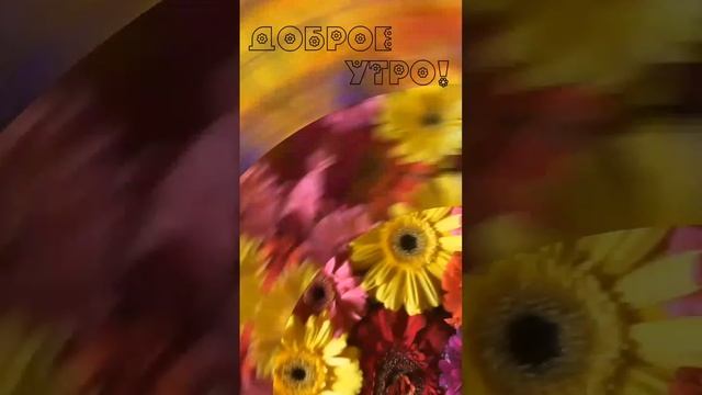 С добрым утром!