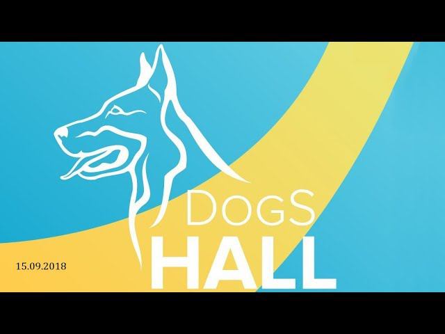 Аджилити | Квалификационные соревнования A0 | 15.09.2018 | DogS HALL | LIVE