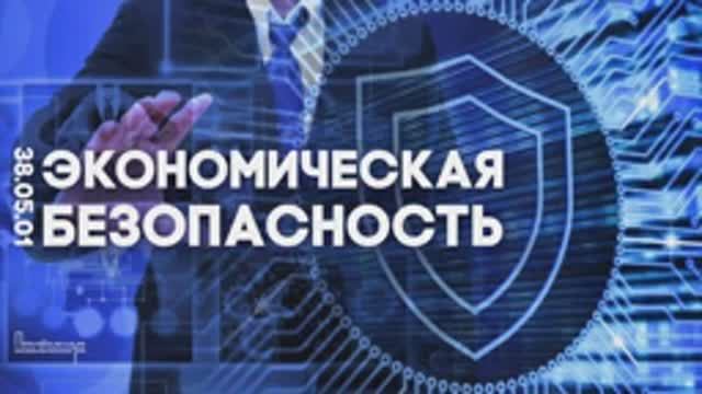 Направление подготовки «Экономическая безопасность»