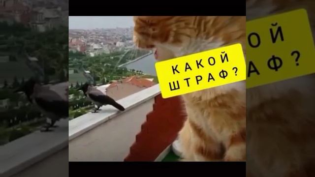 Вот и поговорили !! ))