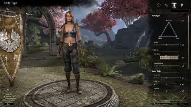 The Elder Scrolls Online. Создание своего героя