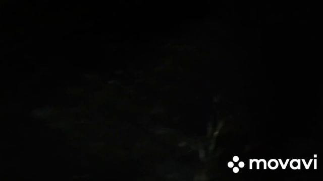 Что лучше для скрепления пароизоляции...герметик полиуретановый и полимерный..эксперимент