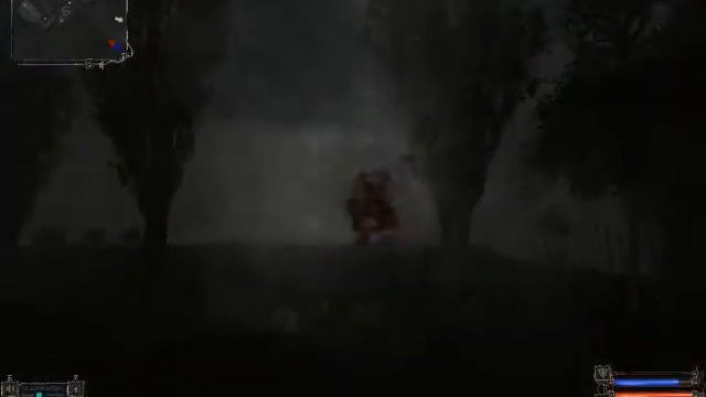 S.T.A.L.K.E.R. Военные на карусели