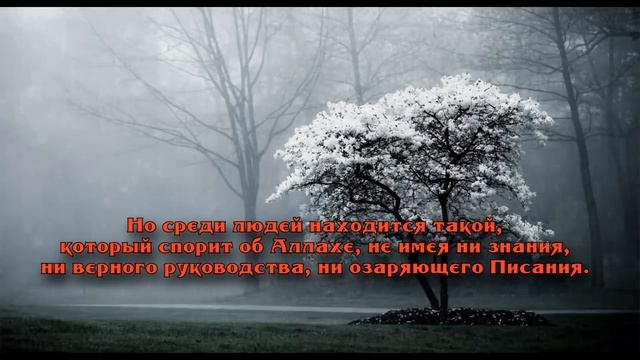 Красивое чтение Корана. Сура 31 "Лукман" Чтец: Ислам Субхи